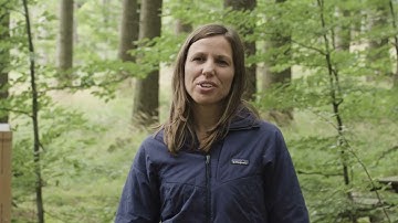 30 years of environmental monitoring at Zöbelboden