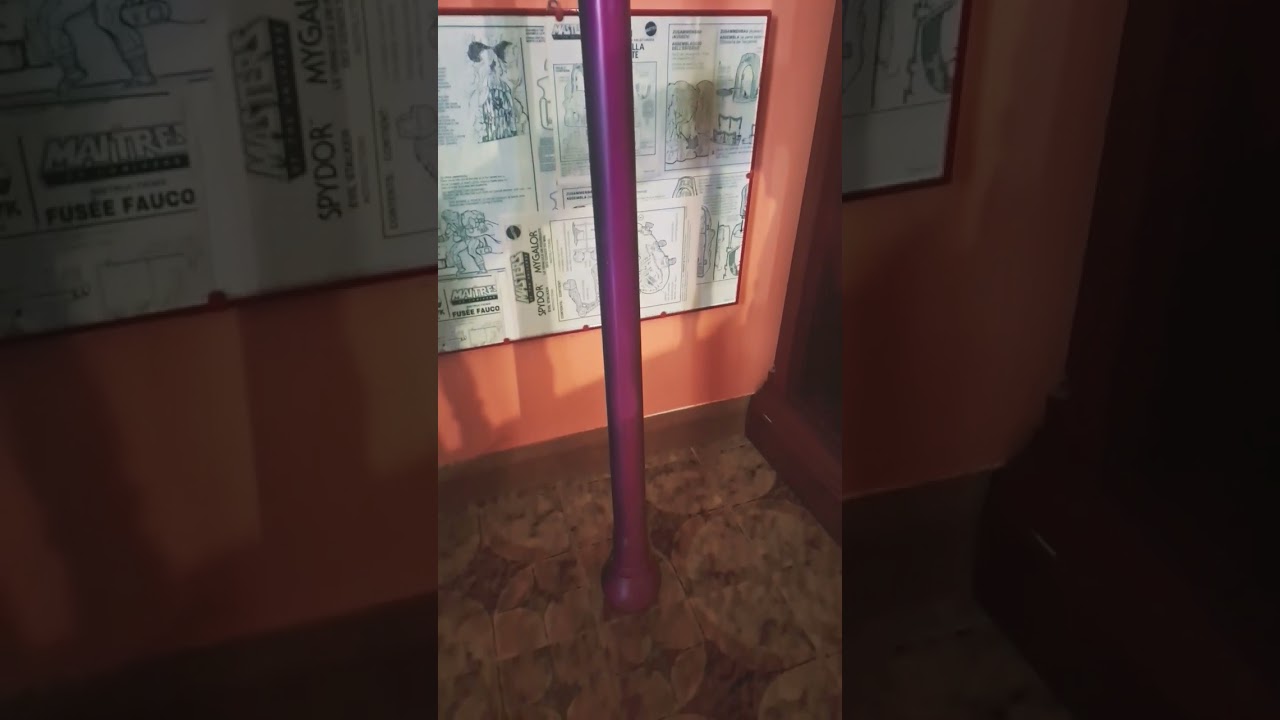 Skeletor Havoc Staff custom 