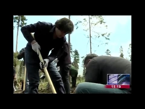 გამწვანების აქცია ბორჯომის პლატოზე