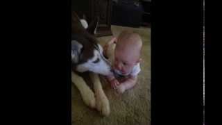 Genesis's 1st Birthday Slideshow