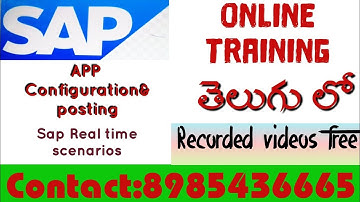 #SAP FICO automated payment program Error Resolution||SAP FICO APP Error Solution|SAP FICO in Telugu