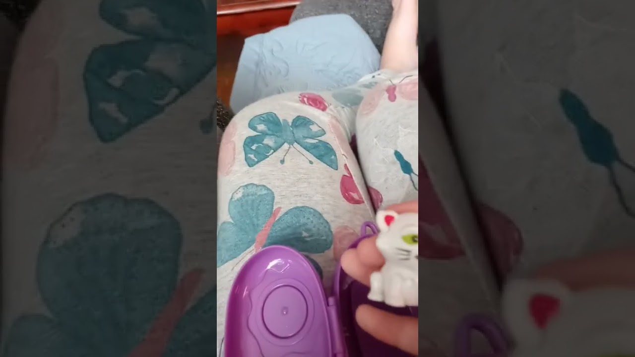 Polly Pocket animals candy and my lovely titi.