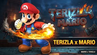 Skin Script : Terizla x Mario screenshot 1
