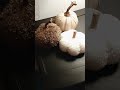 Neutral Fall Decor 2024#fall #neutral #decor #2024
