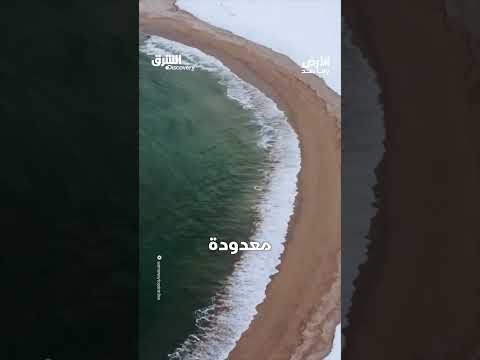 شاطئ هوكايدو