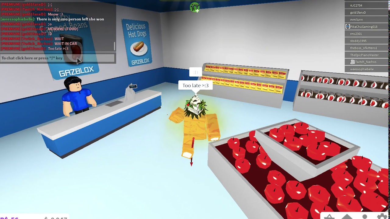 Rping as a cat in bloxburg! YouTube