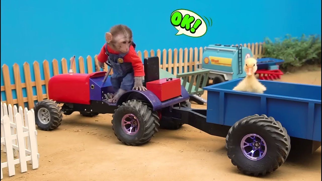 Tractor Monkey 🐒 Helps Ducklings Get Home 🏠| Soni Kids India