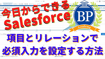 【今日からできるsalesforce】項目とリレーションで必須入力の設定方法