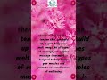 Try The Best Couples Massage In Virginia Beach 