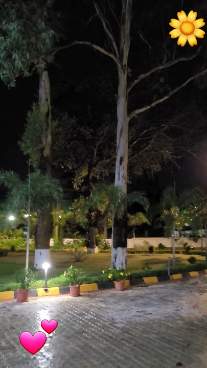 ASHA BHOSLE HAD PERFECT VOICE FOR THE YOUNG ACTRESSES IN 1980s💗🍓#love #ashabhosle