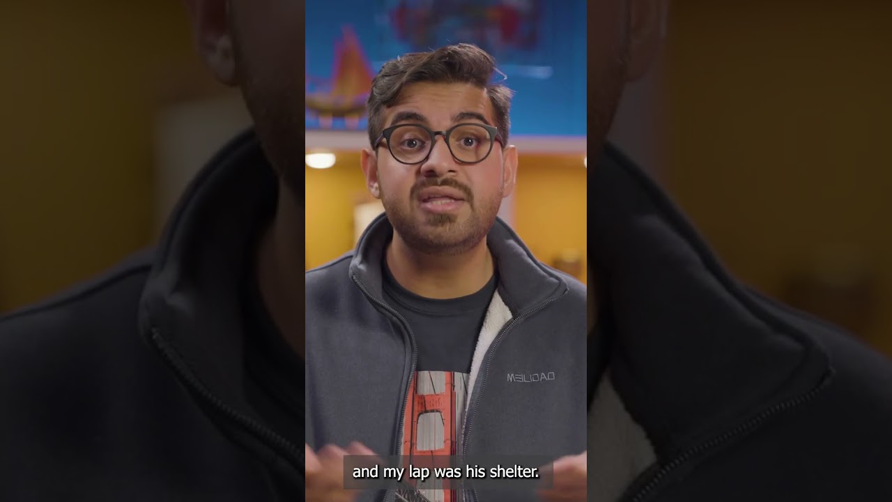 أطفال الشقاق
