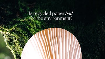 Is recycled paper bad for the environment? Green Graphic Design - Little Fox Design