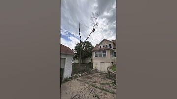 FLOP what you can. RIG what you must. #arborist #treework #stihl #tree #rigging