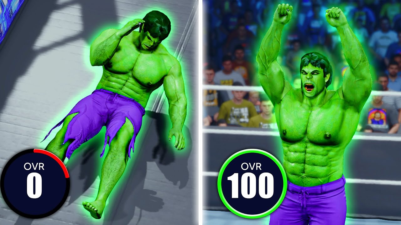I Put The Hulk In The WWE