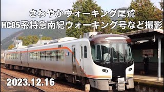 さわやかウォーキング 相賀駅〜尾鷲駅 HC85系特急南紀ウォーキング号など臨時列車を撮影