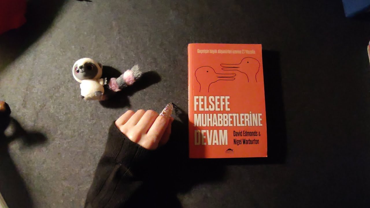 TÜRKÇE ASMR - Felsefe Mubabbetlerine Devam | Montaigne Üzerine 
