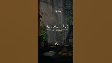 #قرآن #تلاوة_خاشعة #راحة_نفسية #لايك #اكسبلور #fayou #دويتو #viralvideo