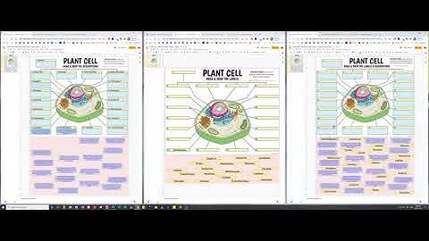 Plant Cell - 8 Interactive Google Slides Activities | Distance Learning (by Tangstar Science)