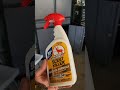 Whats In My Bag  - Dirt Scented Spray