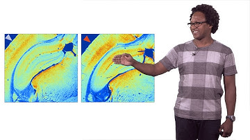 Andre Fenton (NYU) 2: Protein Kinase M zeta promotes memory and Long-Term potentiation (LTP)