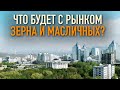 Что с рынком зерна и масличных? Проблемы и перспективы!