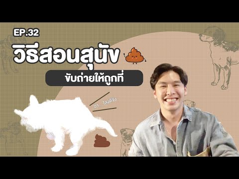 วีดีโอ: วิธีธรรมชาติในการสร้างกลิ่นสุนัขให้ดีขึ้น