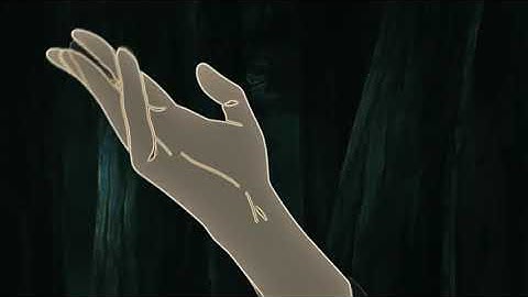 DO NOT DISTURB / After Effects edit / Rotation & Shake Tutorial? Xan/Xqndros Rotations @nqn.vfx