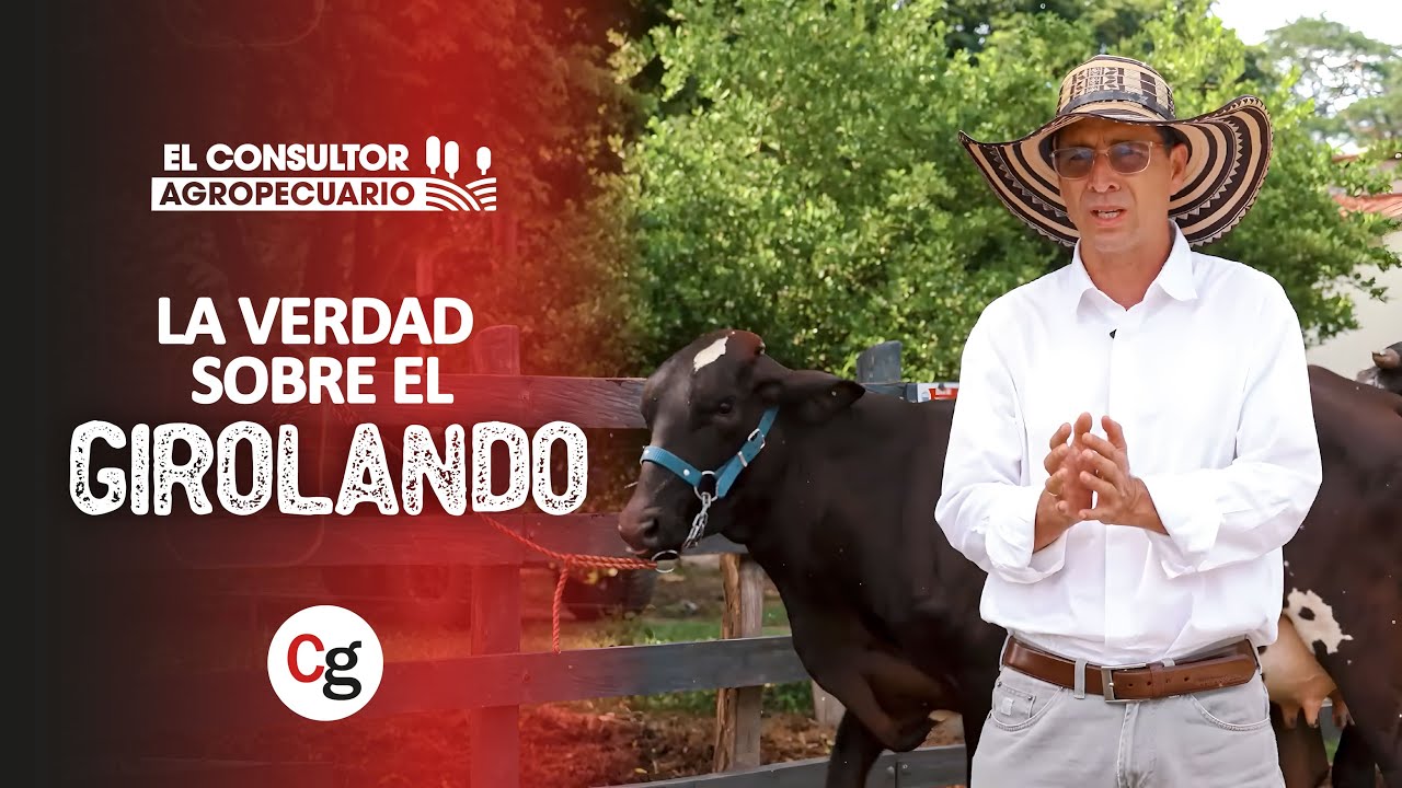 #ElConsultorAgropecuario
