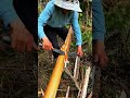 両手鑿で丸太の皮をスルスル剥く職人技が爽快🌲 Bark Peeling Double Chisel