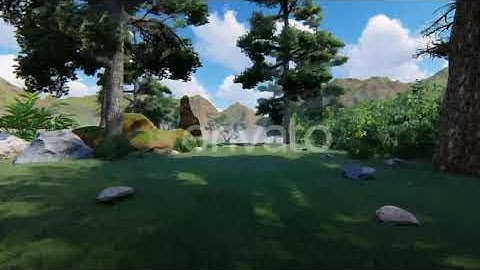 Coniferous Forest Growing In The Mountains | Motion Graphics - Envato elements