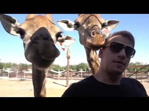 BILLIONAIRE LIFE STYLE IN DUBAI!!!