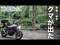 #4【東北】本当にクマが出るとは そしてついに東北6県を制覇しました | 青森・岩手 | SV650