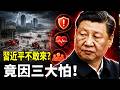 習近平視察災區：把人民趕走！巴威颱風來勢洶洶，習近平四平八穩發指示，他不敢出門原來有“三怕”！｜新聞拍案驚奇