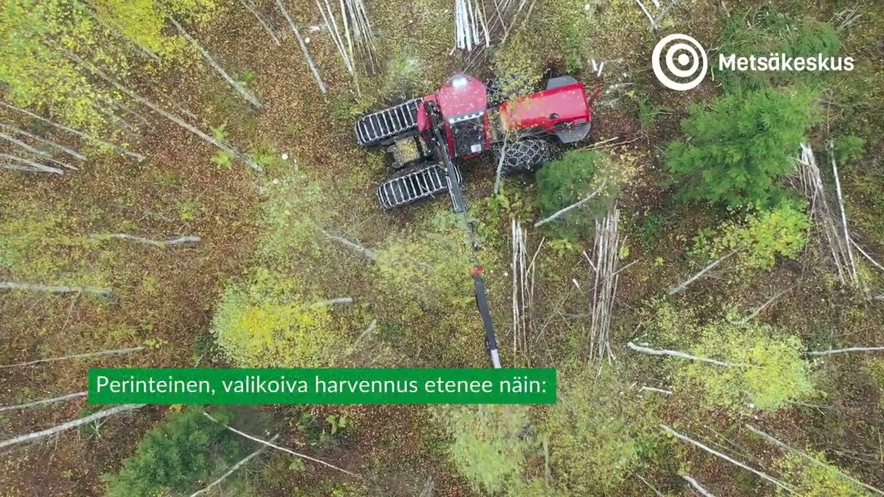 Väyläharvennus - koneellisen ensiharvennuksen työmenetelmä