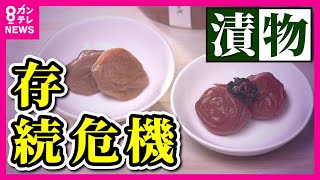 【手作り漬物がピンチ】「おばあちゃんの味が消えるかも」 法改正で廃業する人が相次ぐか　製造ルールが厳格化し保健所の許可が必要に　「文化の継承のための行政による支援が必要」と専門家〈カンテレNEWS〉