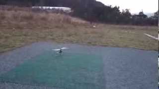 Blade 450 X First Hover