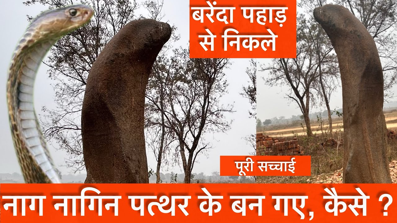बरेंदा पहाड़ से निकले नाग नागिन पत्थर के कैसे बन गए|| पूरी सच्चाई जाने|| Snake stone|| Dulmi village