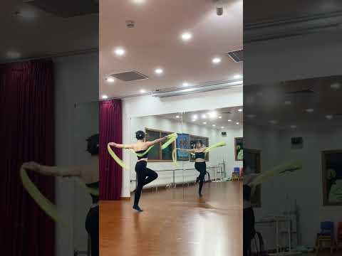 Nhất mộng kinh hồng | 一梦惊鸿 | Chinese Dance Cover (Mirror)