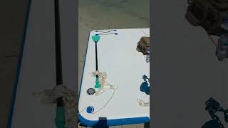 🎣 Catfish Punctured My Inflatable Dock! 😳 #fishing #shorts #shortsvideo