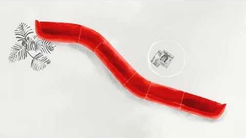 Loop: Soft architecture to live and work with