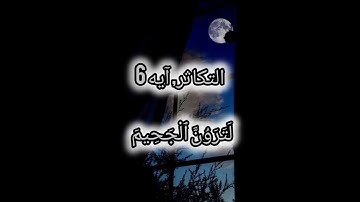سورة التکاثر |قاری عبدالمالک نوری
