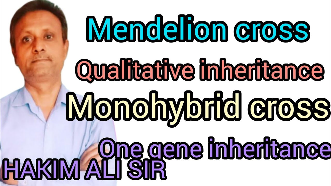 Mendelion cross  one gene   inheritance qualitative inheritance