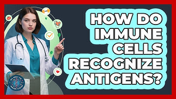 How Do Immune Cells Recognize Antigens? - All About the Immune System