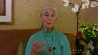 A Message From Jane to Our Online Community