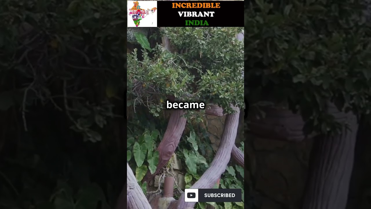 Journey Through  Vedic Period: The Birth of Indian Civilization 