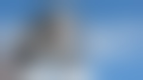 A Plant Could Save a Planet - Royal Dankness w/Lyrics