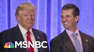 President Donald Trump Campaign And A 'Willingness' To Collude | The Last Word | MSNBC