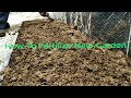 How To Pour Fertilizer In A New Garden | Fertilizer | Homemade Fertilizer Garden