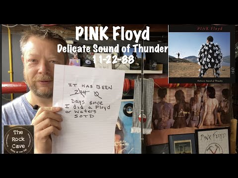 Delicate Sound of Thunder 11 88 revisited