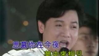 葉啟田-請你信賴我／嘘じゃないんだ